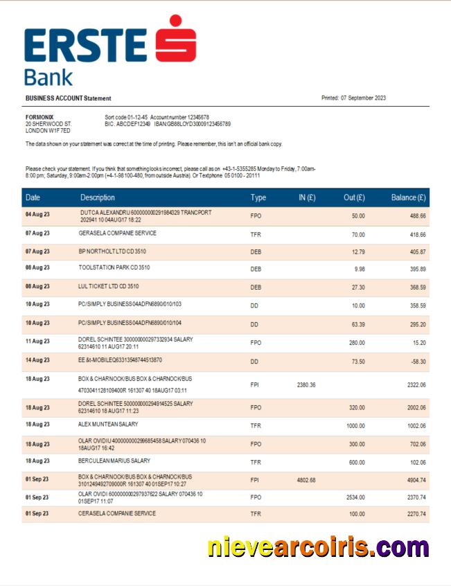 Erste Bank firm checking account statement